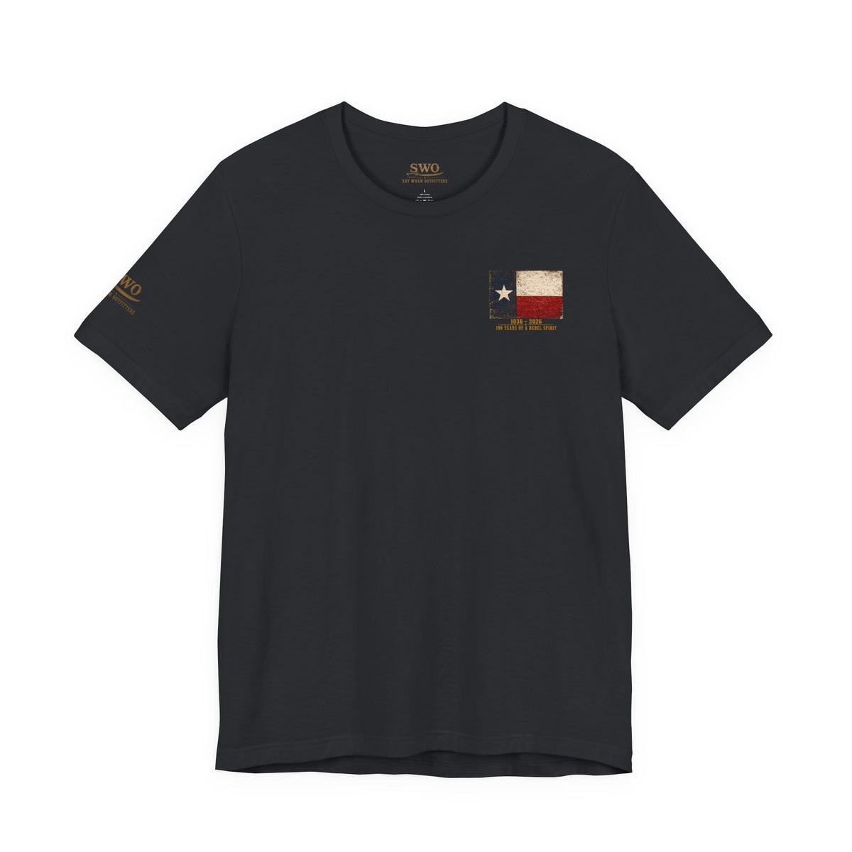 Remember The Alamo